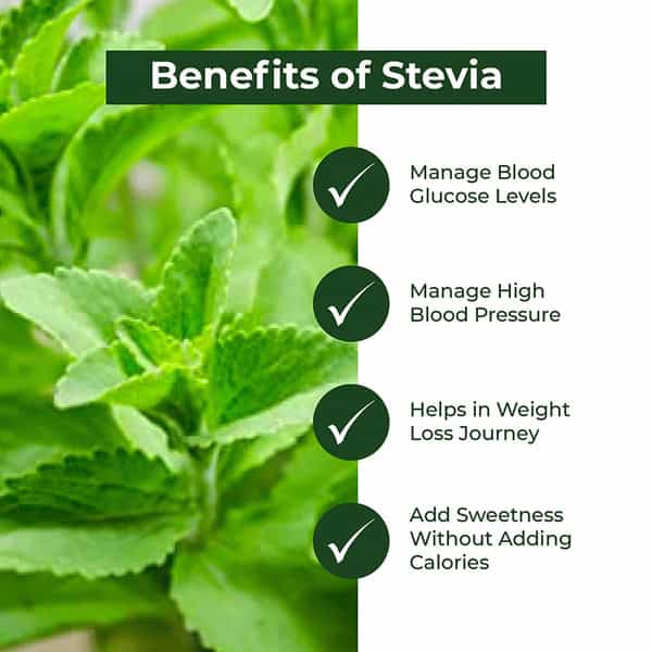 Sugar Fighter Stevia Powder Jar Of 250 G