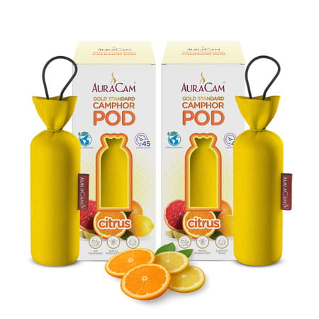 Auracam Gold Standard Camphor Pod Cone (Citrus) - Set Of 2