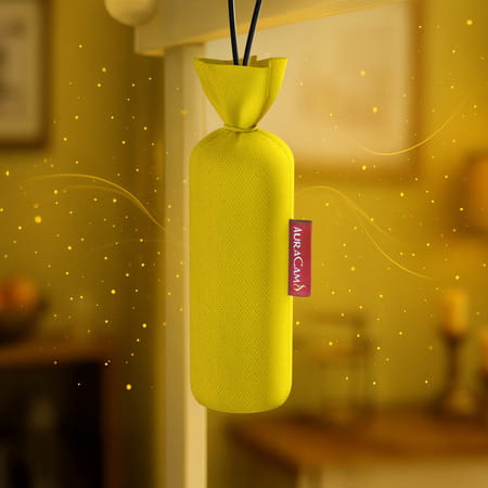 Auracam Gold Standard Camphor Pod Cone (Citrus) - Set Of 2