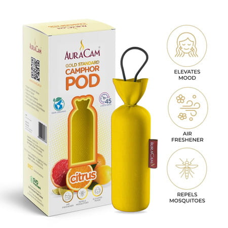 Auracam Gold Standard Camphor Pod Cone (Citrus) - Set Of 2