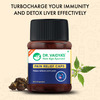 Dr. Vaidya's Pain Relief Capsules Ayurvedic Medicine For Joint 30 Capsules