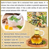Earth N Pure Castor Oil 100% Natural Pure And Therapeutic Grade Hair Oil (200 Ml)