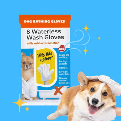 View product image 6