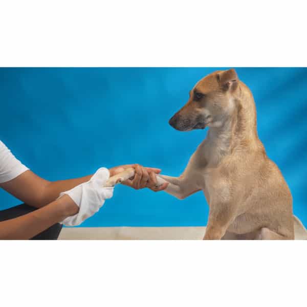Fofos Waterless Wash Gloves - 8Pcs