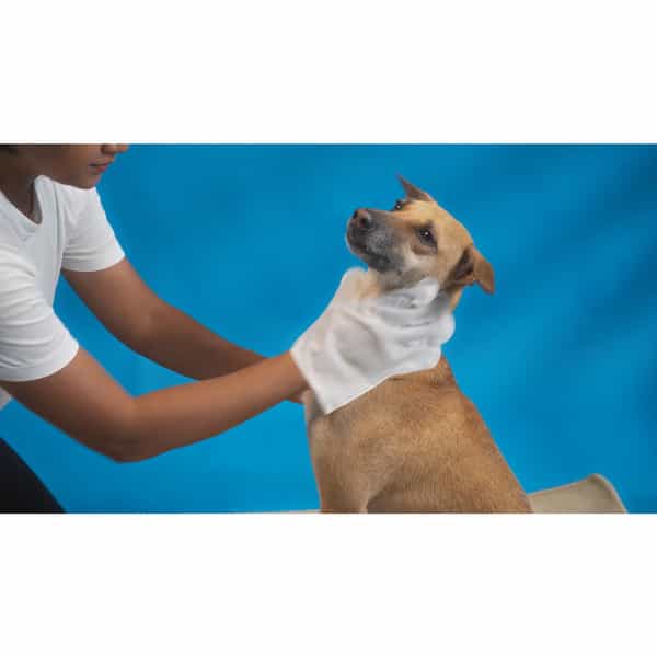 Fofos Waterless Wash Gloves - 8Pcs