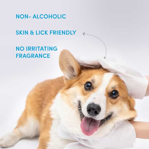 Fofos Waterless Wash Gloves - 8Pcs