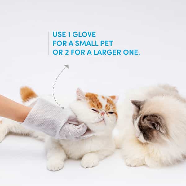 Fofos Waterless Wash Gloves - 8Pcs