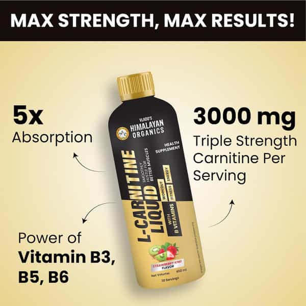 Vlado's Himalayan Organics L Carnitine Liquid 3000Mg I For Men & Women I Strawberry Flavor - 450 Ml