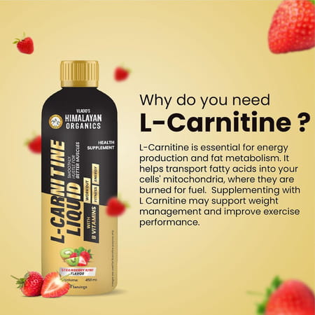 Vlado'S Himalayan Organics L Carnitine Liquid 3000mg I For Men & Women I Strawberry Flavor - 450 Ml