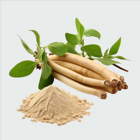 Jiggle Ag Ashwagandha Gummies I Stress Relief Adoptogen Ashwagandha|Cranberry-Mint Flavour I 30 N
