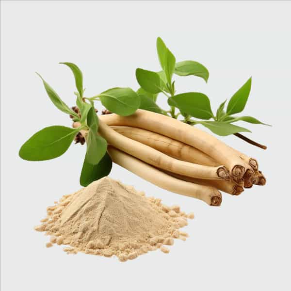 Jiggle Ag Ashwagandha Gummies I Stress Relief Adoptogen Ashwagandha|Cranberry-Mint Flavour I 30 N