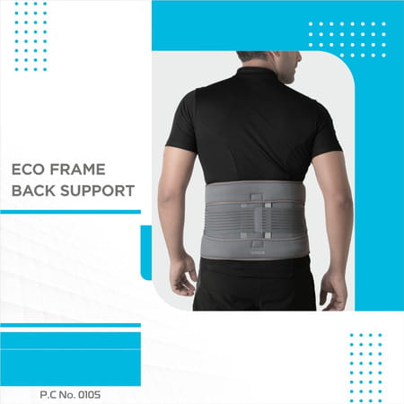 Vissco Eco Frame Back Support Small