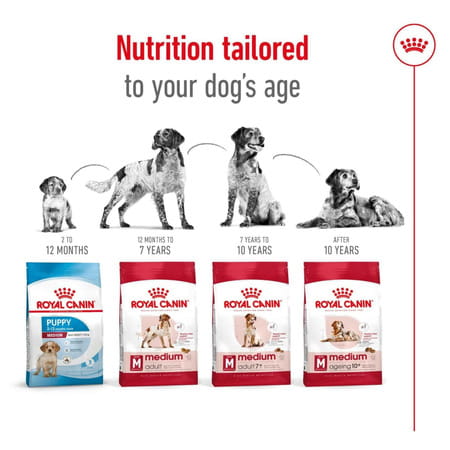 Royal Canin Medium Adult Dog Food | 4 Kg | Dry Food