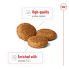 Royal Canin Medium Adult Dog Food | 4 Kg | Dry Food