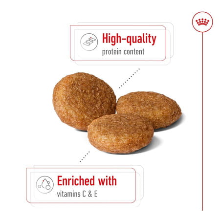 Royal Canin Medium Adult Dog Food | 4 Kg | Dry Food