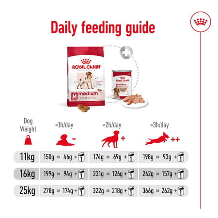 Royal Canin Medium Adult Dog Food | 4 Kg | Dry Food
