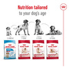 Royal Canin Medium Adult Dog Food | 4 Kg | Dry Food