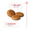 Royal Canin Medium Adult Dog Food | 4 Kg | Dry Food