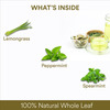 The Tea Ark Lemongrass Tea Leaves (50G) Tin Pack |Caffeine Free Whole Leaf Blend (25 Servings)