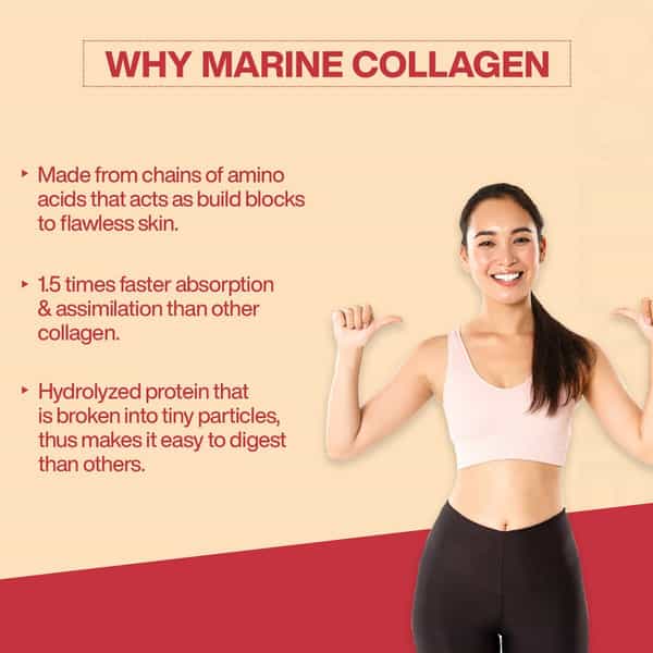 Myfitfuel Hydrolyzed Bovine Collagen + Glucosamine, Hyaluronic, Biotin, Vitamin C (250G, Chocolate)