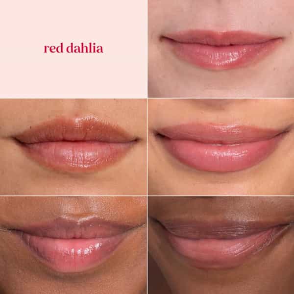 Burt's Bees Tinted Lip Balm | Red Dahlia | 4.25G