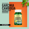 Morpheme Remedies Garcinia Cambogia For Weight Management | (60 Veg Capsules)