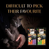 Sheba Melty Premium Lickable Creamy Cat Treats | Maguro Selection | Tuna & Prawn Flavors | 6 X 48G
