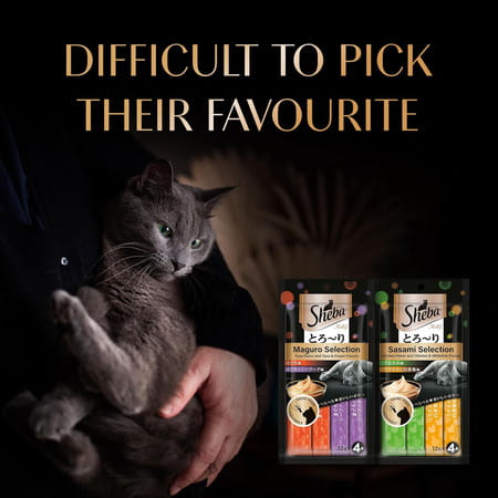 Sheba Melty Premium Lickable Creamy Cat Treats | Maguro Selection | Tuna & Prawn Flavors | 6 X 48G