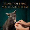Sheba Melty Premium Lickable Creamy Cat Treats | Maguro Selection | Tuna & Prawn Flavors | 6 X 48G