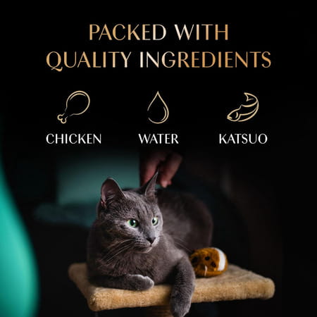Sheba Melty Premium Lickable Creamy Cat Treats | Maguro Selection | Tuna & Prawn Flavors | 6 X 48G