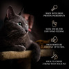 Sheba Melty Premium Lickable Creamy Cat Treats | Maguro Selection | Tuna & Prawn Flavors | 6 X 48G