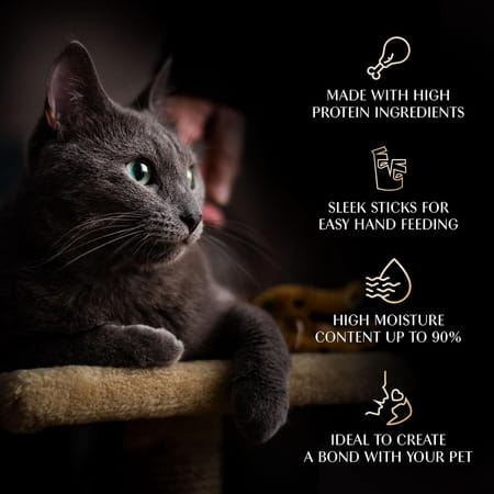 Sheba Melty Premium Lickable Creamy Cat Treats | Maguro Selection | Tuna & Prawn Flavors | 6 X 48G