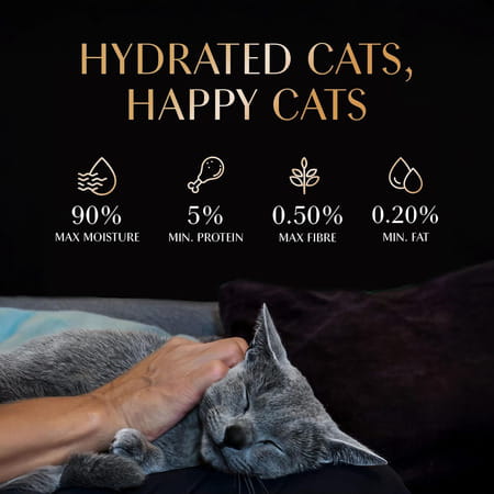 Sheba Melty Premium Lickable Creamy Cat Treats | Maguro Selection | Tuna & Prawn Flavors | 6 X 48G
