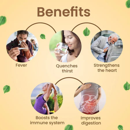 Cipzer Sharbat Anjabar 200ml | Supports Blood Health & Overall Wellness