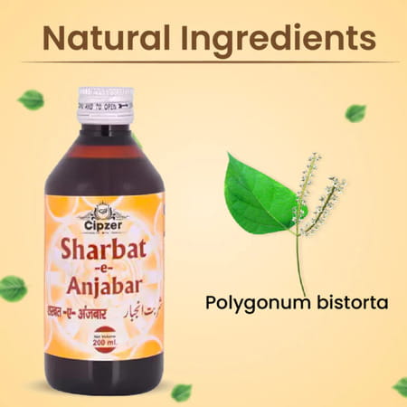 Cipzer Sharbat Anjabar 200ml | Supports Blood Health & Overall Wellness