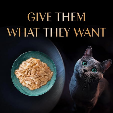 Sheba Rich Premium Adult (1+ Years) Wet Cat Food | Fish With Sasami Flavour | 12 X 35 G