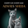Sheba Rich Premium Adult (1+ Years) Wet Cat Food | Fish With Sasami Flavour | 12 X 35 G