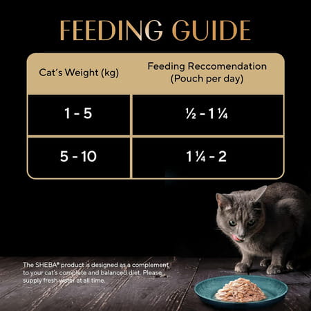 Sheba Rich Premium Adult (1+ Years) Wet Cat Food | Fish With Sasami Flavour | 12 X 35 G