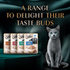 Sheba Rich Premium Adult (1+ Years) Wet Cat Food | Fish With Sasami Flavour | 12 X 35 G