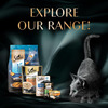 Sheba Rich Premium Adult (1+ Years) Wet Cat Food | Fish With Sasami Flavour | 12 X 35 G