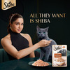 Sheba Rich Premium Adult (1+ Years) Wet Cat Food | Fish With Sasami Flavour | 12 X 35 G