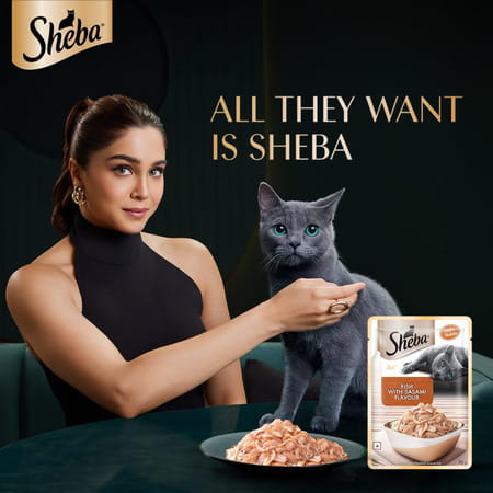 Sheba Rich Premium Adult (1+ Years) Wet Cat Food | Fish With Sasami Flavour | 12 X 35 G