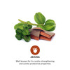 Pravek Arjuna 60 Capsules