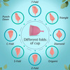 Floren Reusable Menstrual Cup (Tiny) With Menstural Cup Wash (200Ml)