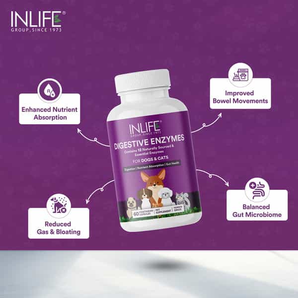 Inlife Digestive Enzymes For Dogs Cats And Pets | 12 Natural & Essential Enzymes - 60 Veg Capsules