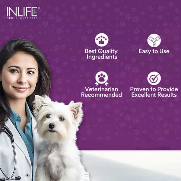 Inlife Digestive Enzymes For Dogs Cats And Pets | 12 Natural & Essential Enzymes - 60 Veg Capsules
