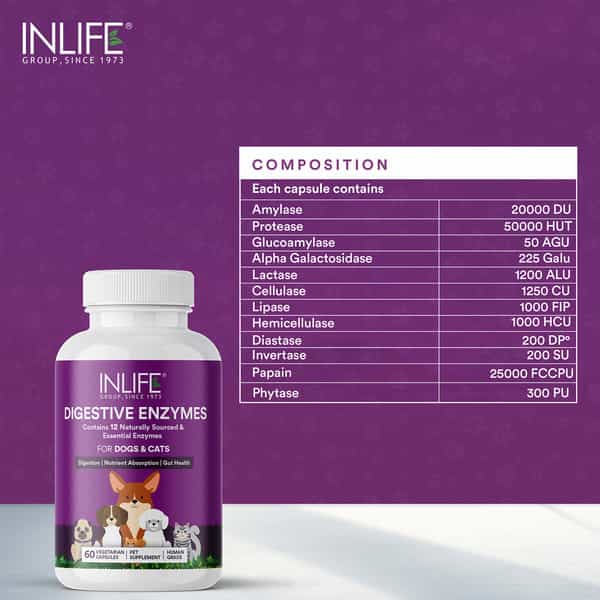 Inlife Digestive Enzymes For Dogs Cats And Pets | 12 Natural & Essential Enzymes - 60 Veg Capsules