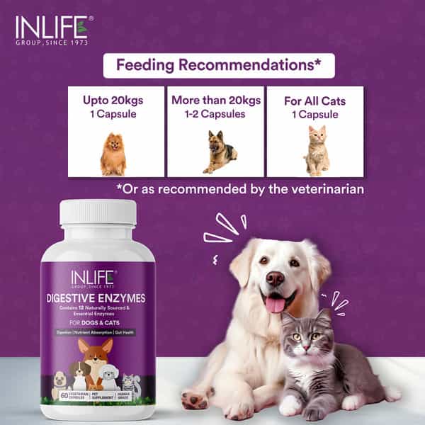 Inlife Digestive Enzymes For Dogs Cats And Pets | 12 Natural & Essential Enzymes - 60 Veg Capsules