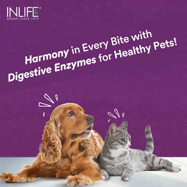 Inlife Digestive Enzymes For Dogs Cats And Pets | 12 Natural & Essential Enzymes - 60 Veg Capsules