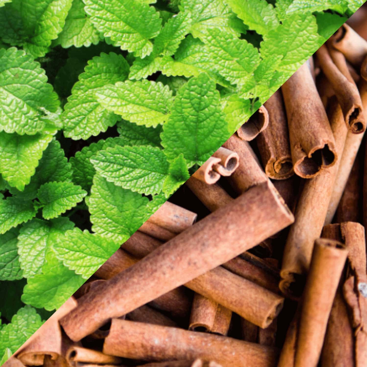 Buy STAYCOOL BREATH FRESHENER SPRAY SPEARMINT CINNAMON PACK OF 2 Online & Get Upto 60 OFF